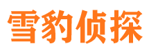 齐齐哈尔市私家侦探